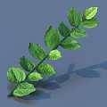 Fresh Green Leafy Branch With Multiple Leaves On Gray Background And Shadow 3d model