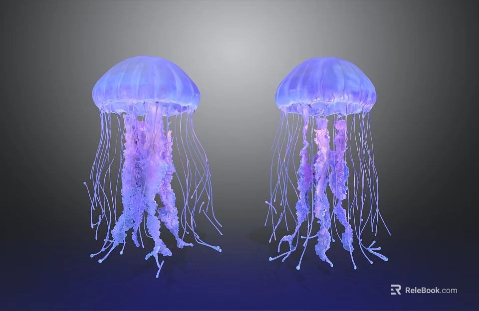 Two Vibrant Glowing Jellyfish With Purple Blue Tentacles In Aquatic Environment 3d model 