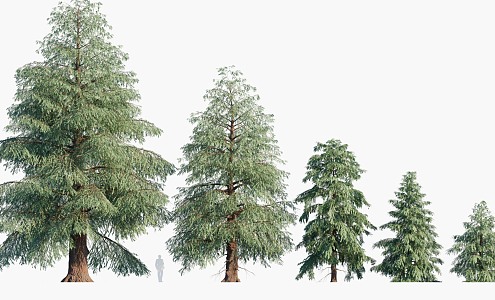 trees big trees pine trees landscape trees 3d model