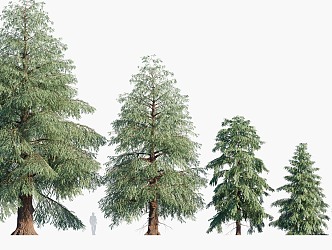 trees big trees pine trees landscape trees 3d model