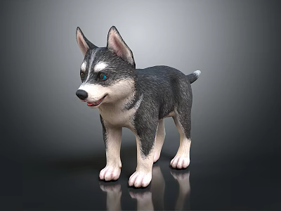 Adorable Husky Puppy With Gray And White Fur Standing On Black Background With Reflection 3d model