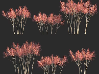 Pink Feathery Plants With Slender Stems In Various Clusters On Black Background 3d model