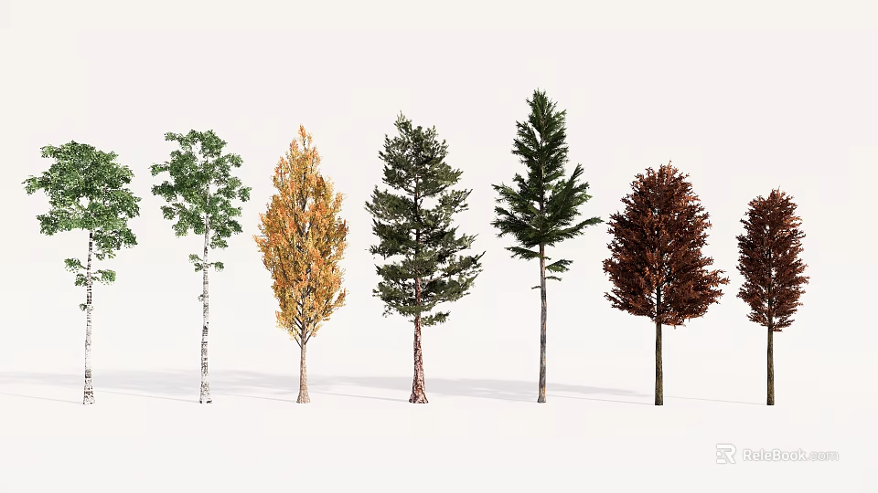 Various Types of Trees With Green Yellow Brown Foliage and Different Trunk Shapes 3d model 