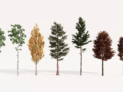 Various Types of Trees With Green Yellow Brown Foliage and Different Trunk Shapes 3d model