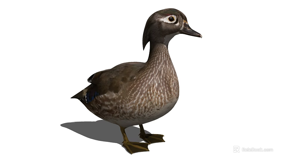 Flying Brown Duck with Detailed Feathers Standing Pose and White Eye Markings 3d model 