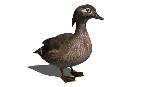 modern duck animal mandarin duck 3d model