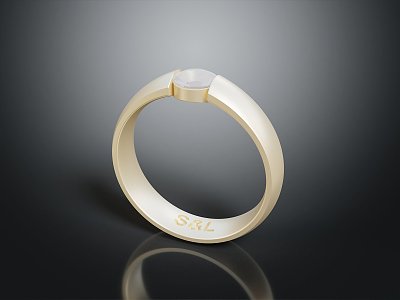 Modern Ring Diamond Ring model