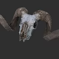 Detailed Ram Skull With Large Curved Horns And Natural Bone Structure