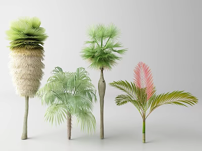 Collection of Exotic Trees with Vibrant Leaves and Distinct Trunk Structures 3d model