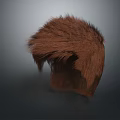 Realistic Human Head Organ With Detailed Brown Hair And 3D Rendered Natural Texture