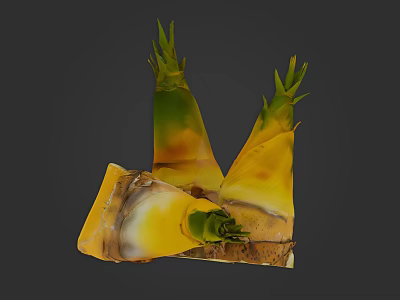 Fresh Bamboo Shoots with Green Tips and Yellow Brown Outer Layers on Dark Background 3d model