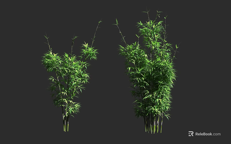 Green Bamboo Plants With Lush Leaves And Tall Stems In Natural View 3d model 
