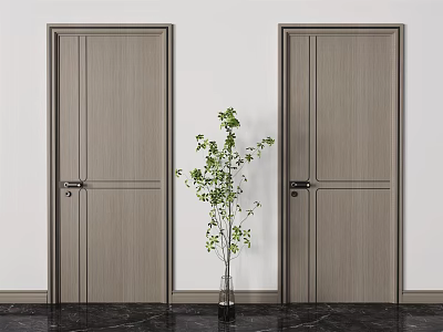 Modern Wooden Hinged Doors In Light Gray With White Wall And Green Plant 3d model