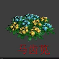 Clustered Portulaca Flowers With Blue And Yellow Blooms And Green Leaves