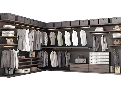 Modern Wardrobe Interior Design With Hanging Clothes Storage Boxes And Drawers 3d model