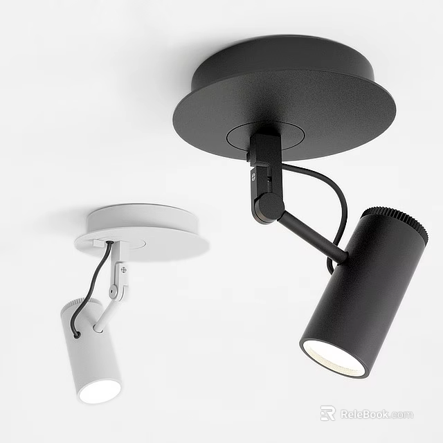Modern Black and White Downlights and Spotlights with Adjustable Design for Interior Lighting 3d model 