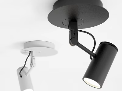 Modern Black and White Downlights and Spotlights with Adjustable Design for Interior Lighting 3d model
