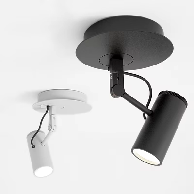 Modern Black and White Downlights and Spotlights with Adjustable Design for Interior Lighting 3d model