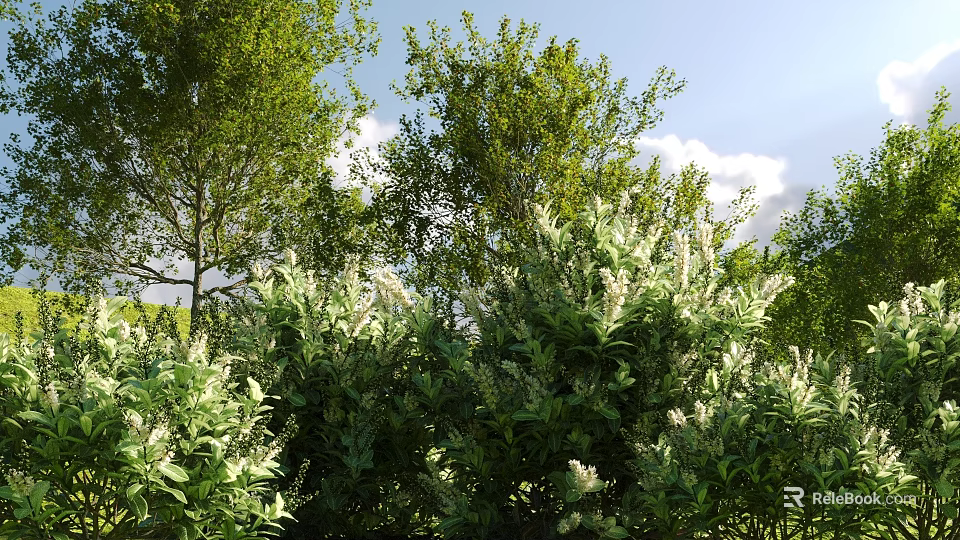 Lush Green Leafy Shrubs With White Flowers And Tall Trees Under Blue Sky 3d model 