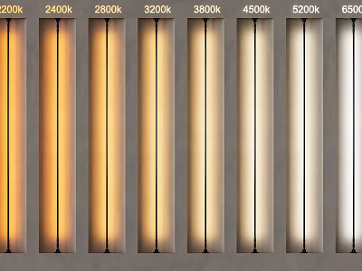 LED Tube Lights With Color Temperatures From 2200K To 6500K Warm To Cool Light 3d model