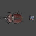 Large Brown Beetle And Multicolored Rubik's Cube On Gray Background