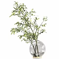 Various Decorative Glass Vases with Green Leafy Plants and Fresh Branches