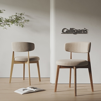 calligaris Nordic Dining Chair Combination Dining Chair Single Chair Leisure Chair without Armrest 3d model