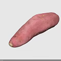 Fresh Pinkish Sweet Potato With Natural Skin And Small Spots