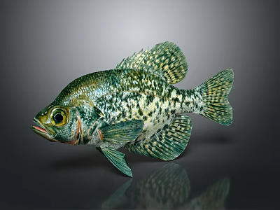 Vivid Green Spotted Fish with Intricate Scales and Clear Reflection on Gray Background 3d model