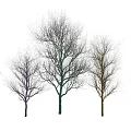 Decorative Colorfully Lit Trees With Pink Green Yellow String Lights At Night