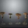 Four Fresh Wild Mushrooms Arranged in Row on Dark Reflective Surface