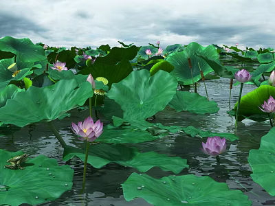 Tranquil Natural Lotus Pond Scenery With Lush Green Leaves And Pink Flowers 3d model