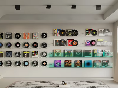 Organized Vinyl Records And CD Collection On Decorative Wall Mounted Glass Shelves 3d model