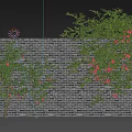 Vines With Pink Flowers On Brick Wall And Column