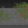 Rose Rosa Vine Plant Climbing Vine Green Plant Flower Wall 3d model