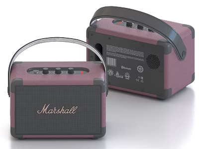 Marshall Portable Bluetooth Speaker with Stylish Pink and Black Handle Design 3d model