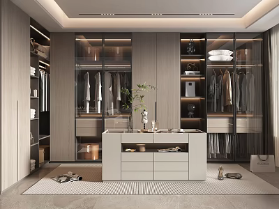 Modern Walk in Closet Interior Design With Glass Door Cabinets Hanging Clothes And Dressing Table 3d model
