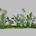 Garden Landscape Design Featuring Diverse Green Plants Ferns Cacti And Banana Leaves