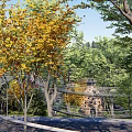 Road Facilities Surrounded by Trees and Greenery Sloped Path with Railings in Urban Park Area