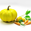 Modern Vegetable Pumpkin Carrot Broccoli 3d model