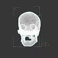 Human Skull Anatomical Structure With Bone Colored Surface Isolated On Dark Background 3d model