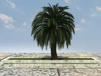 Palm Tree Standing On Stone Platform Against Blue Sky With White Clouds 3d model