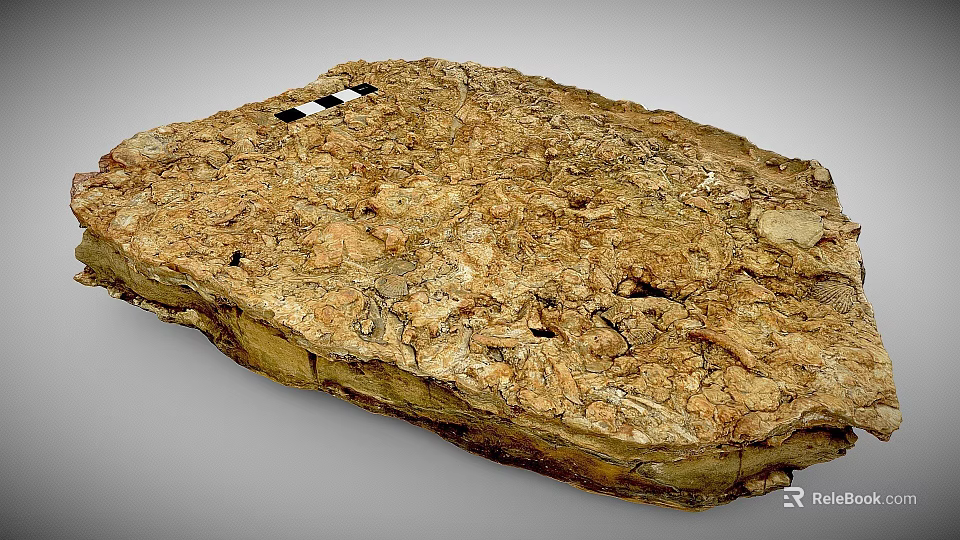 Ancient Fossil Specimen With Textured Brownish Yellow Surface And Black Squares 3d model 