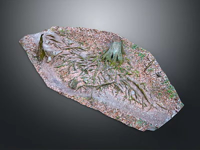 Stone Wood Handcrafted Decorative Carving Featuring Intricate Root Textures And Natural Patterns 3d model