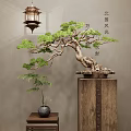 Traditional Chinese Bonsai Plant Display On Wooden Pedestal With Ceramic Vase And Small Table