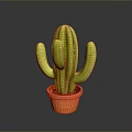 Lush Green Cactus in Orange Ceramic Pot on Dark Reflective Surface 3d model