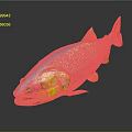 Vibrant Striped Fish with Yellow Blue and Orange Shiny Body on Dark Background