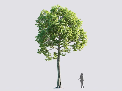 Tall Green Tree With Lush Foliage And Little Girl Standing Beside It 3d model
