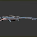Vibrant Blue Striped Marine Creature Model With Open Mouth And Shiny Surface