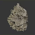 Natural Stone Wood Formation with Intricate Texture and Cream Light Brown Color